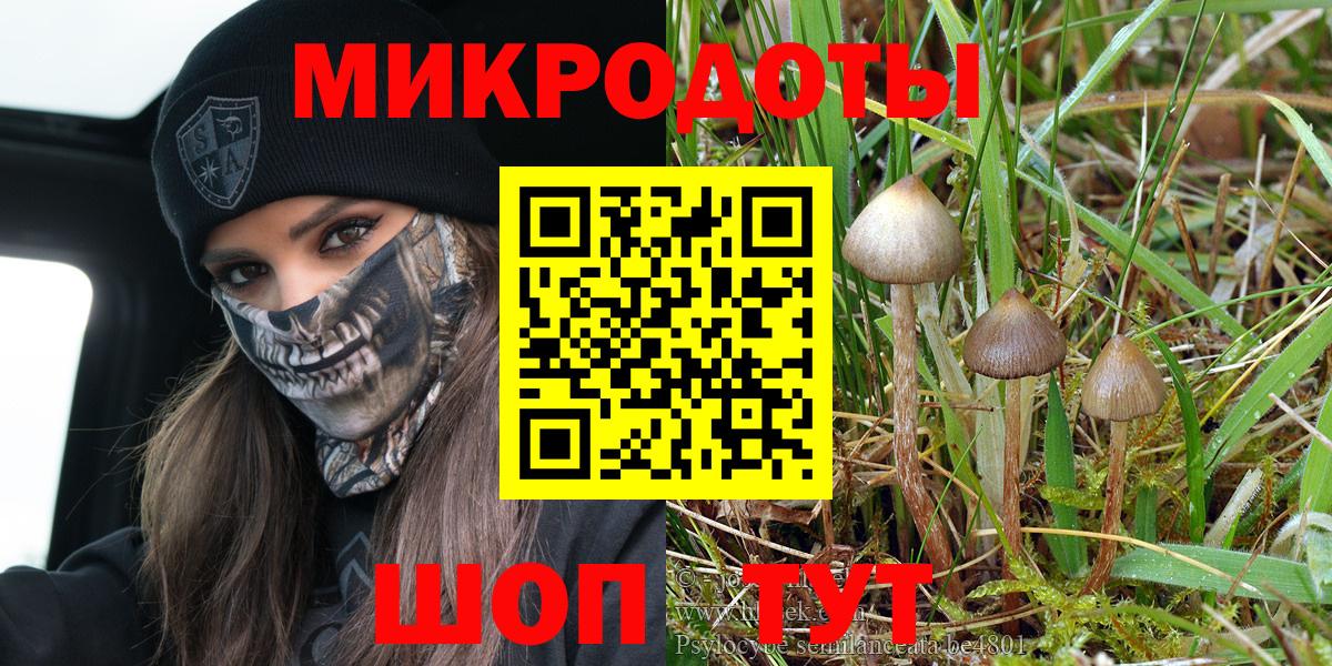 Псилоцибиновые грибы мухоморы  Псилоцибиновые грибы прущие грибы  Томск  Вход с VPN 